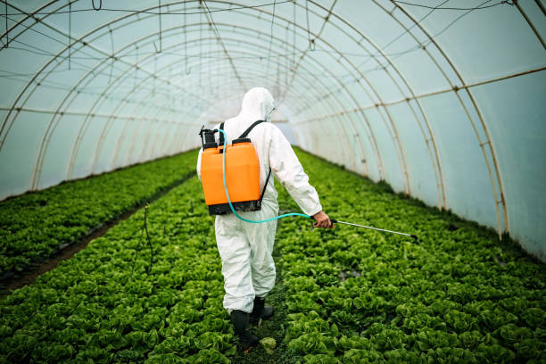 Best Affordable Pest Control Services  in Falconer, NY