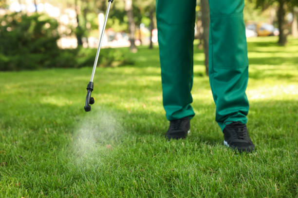 Best Cockroach Control Services  in Falconer, NY